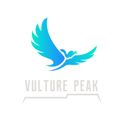 vulture peak venture capital fundraising launchpad